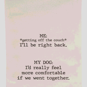 Tea Towel I'd Really Feel More Comfortable 70