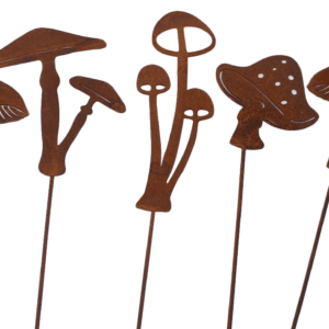 Mushroom Pics set of 5