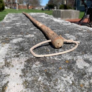 Carved Walking Stick