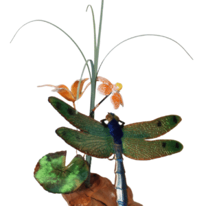 GREEN-WINGED DRAGONFLY & FLOWER