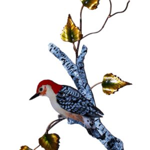 Red Bellied Woodpecker Birch