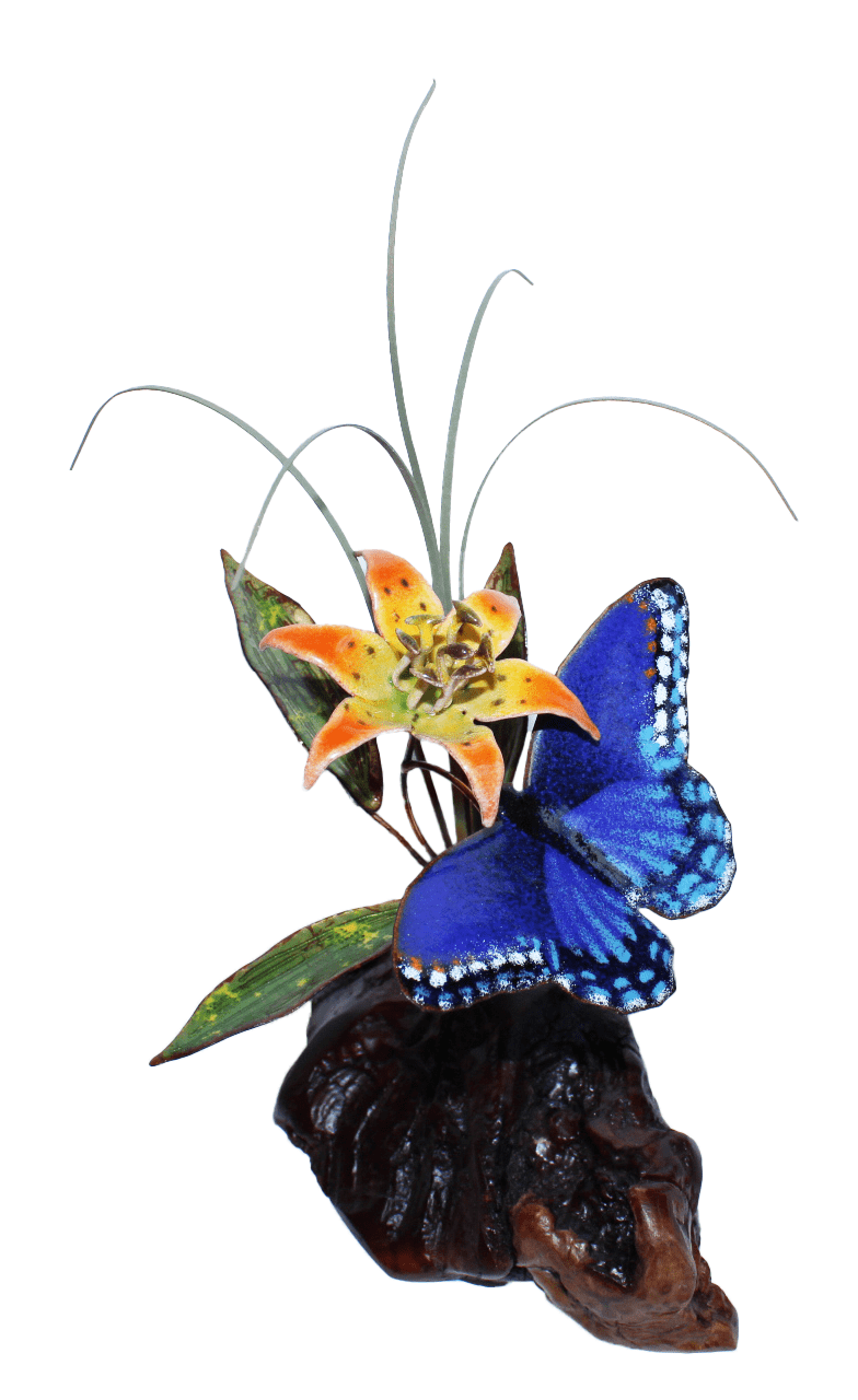 Red Spotted Purple Butterfly on Manzanita