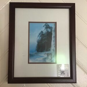 MITCH TOLLE MINI-PRINT