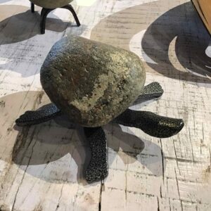 Small Turtle 6" 4TF
