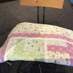Gnome Child Quilt